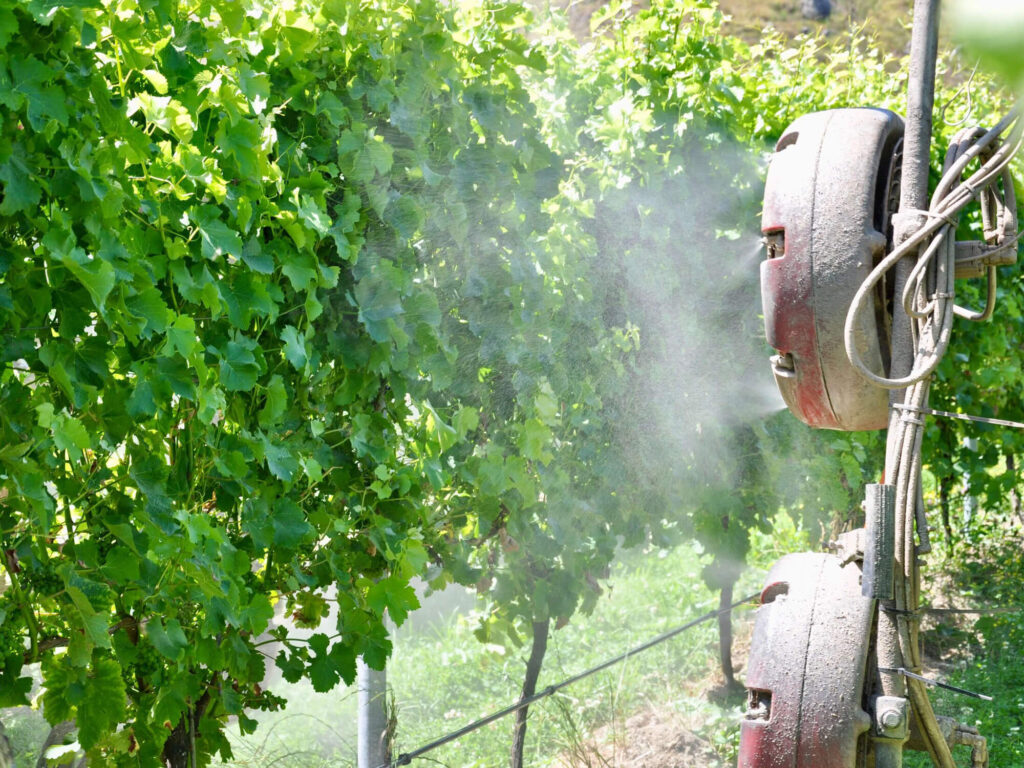VML Spraying