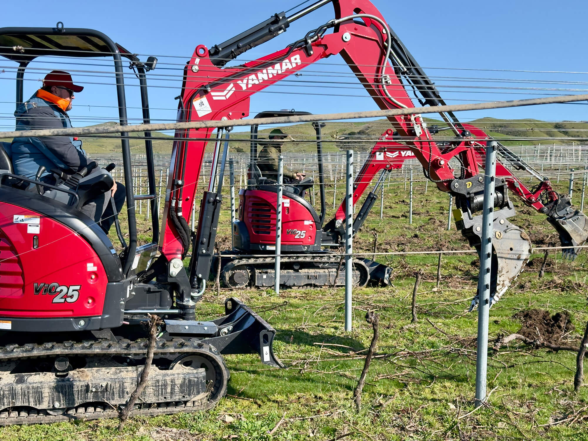 VML Vine Replacement